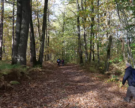 Rando_CAF_Vaux_de_Cernay-26