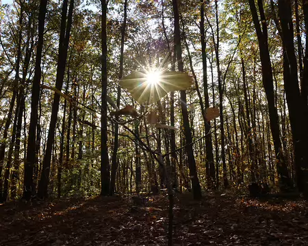 Rando_CAF_Vaux_de_Cernay-29