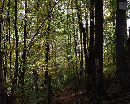 Rando_CAF_Vaux_de_Cernay-30