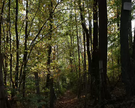 Rando_CAF_Vaux_de_Cernay-30