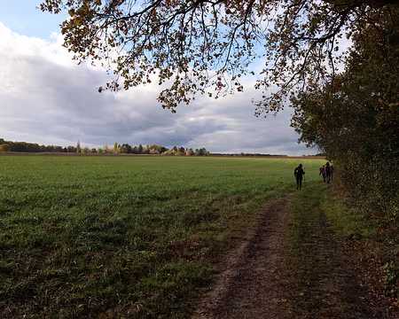 Rando_CAF_Vaux_de_Cernay-31