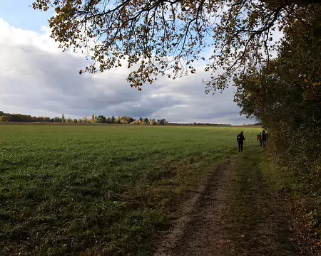 Rando_CAF_Vaux_de_Cernay-31