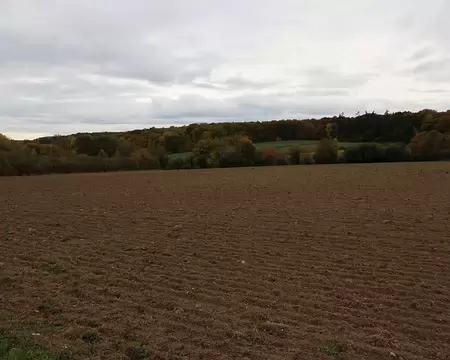 Rando_CAF_Vaux_de_Cernay-34