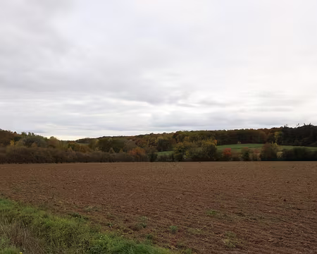 Rando_CAF_Vaux_de_Cernay-35