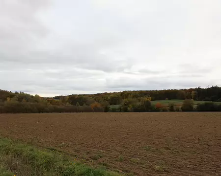 Rando_CAF_Vaux_de_Cernay-35