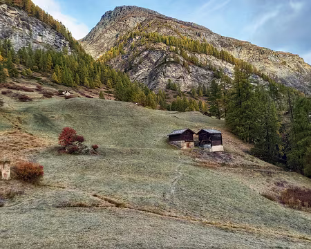 20251021_085927-01 Mar. 21 oct. 2025 Herbigweg