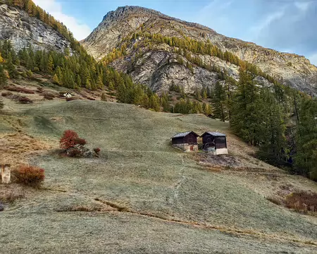 20251021_085927-01 Mar. 21 oct. 2025 Herbigweg