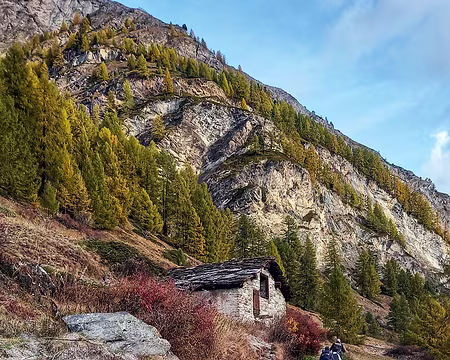 20251021_091256-01 Grange entourée d'épines vinettes.