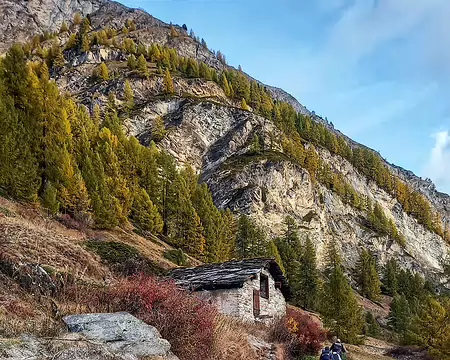 20251021_091256-01 Grange entourée d'épines vinettes.