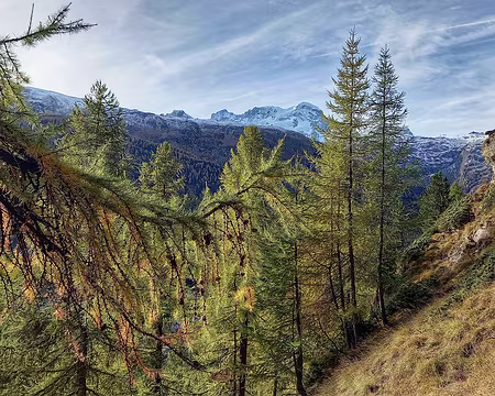 20251021_093011-01 Massif du Mont Rose au loin.