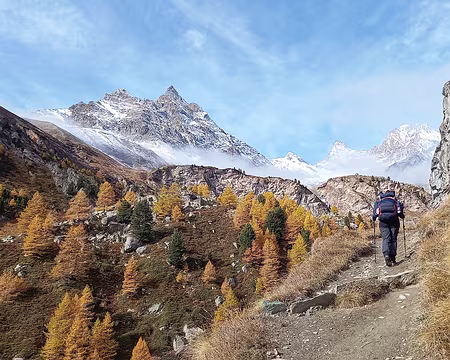 20251021_111708-01 Gabelhorn 4064 m, Zinalrothorn 4221 m, Weisshorn 4505 m.