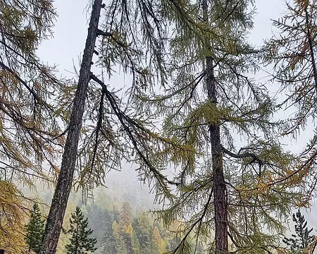 20251023_152112-01 Journée pluie et brouillard