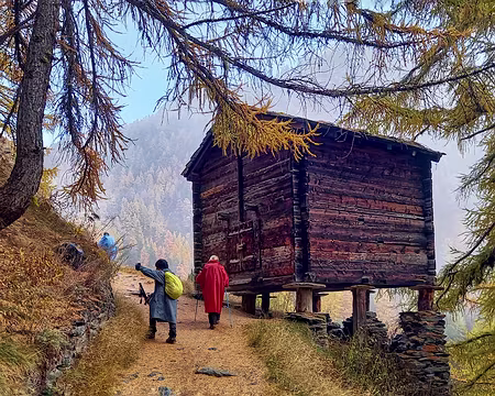 20251023_154755-01 Grange sur pilotis, ou 