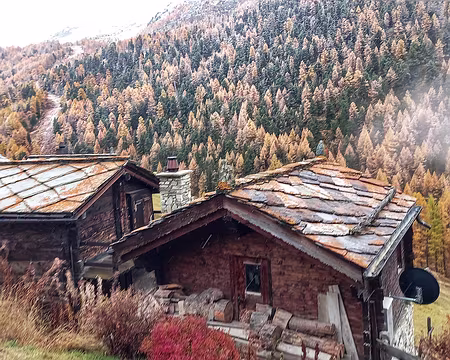 20251023_161853-01 Findeln