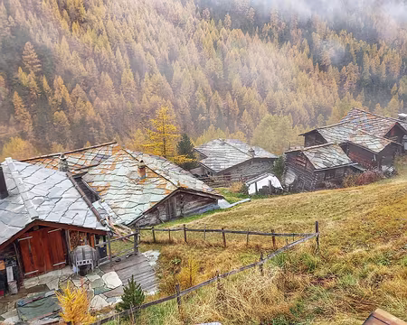 20251023_162112-01 Findeln