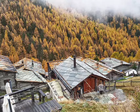 20251023_162225-01 Findeln