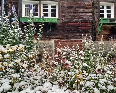 20251024_092724-01 Schnee !