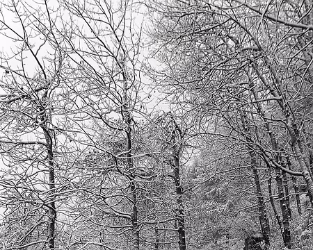 20251024_094924-01 Sur le Metterhorn trail.