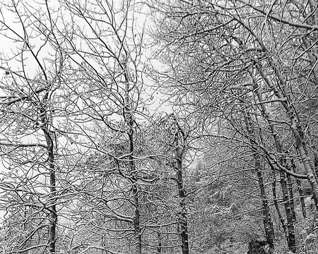 20251024_094924-01 Sur le Metterhorn trail.