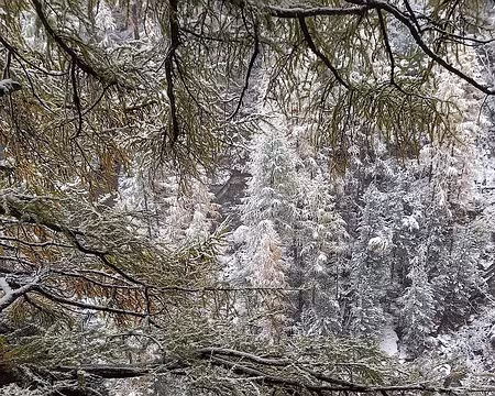 20251024_095722-01 Au dessus de la Zmuttbach