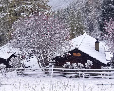 20251024_102219-01 Aroflüe