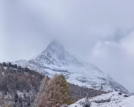 20251024_115533-01 Côté face