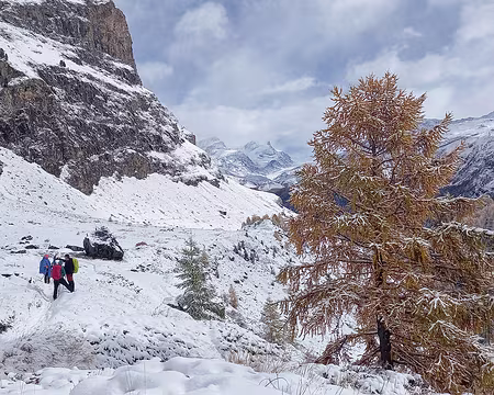 20251024_122058-01 Spécialité de la saison : la raquette sans raquettes !