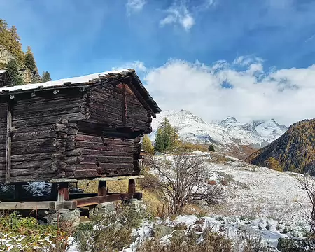 20251024_145159-01 Au loin Rimpfischorn 4199 m et Strahlhorn 4190 m et leur glacier.