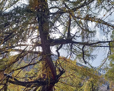 20251024_150600-01 Ça a déjà bien fondu.