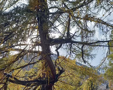 20251024_150600-01 Ça a déjà bien fondu.