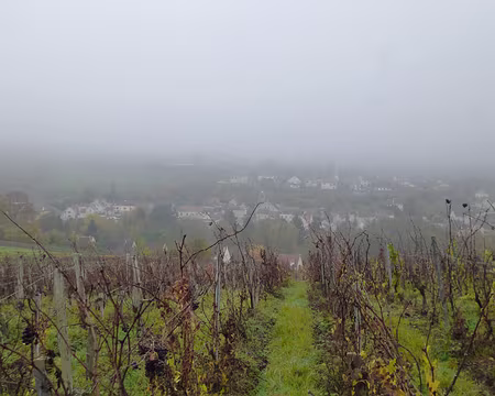 P1210971 Villiers-Saint-Denis, Aisne