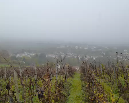 P1210971 Villiers-Saint-Denis, Aisne