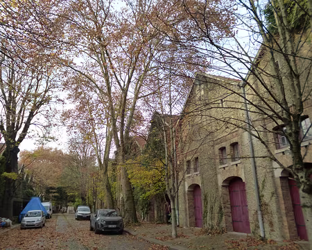 P1220086 ...dans ce cadre de verdure...