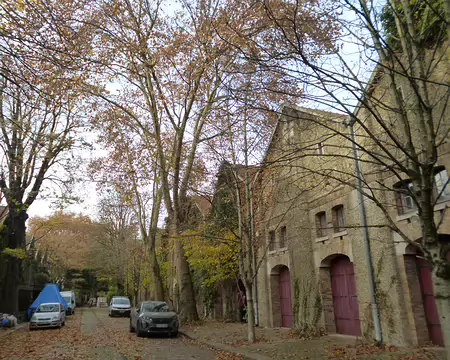 P1220086 ...dans ce cadre de verdure...