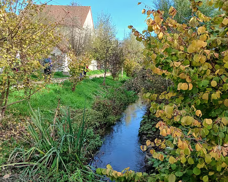 019 Depuis 2022, la Bièvre coule à nouveau à l’air libre sur les communes d’Arcueil et de Gentilly sur une longueur de 600 mètres