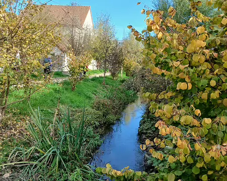 019 Depuis 2022, la Bièvre coule à nouveau à l’air libre sur les communes d’Arcueil et de Gentilly sur une longueur de 600 mètres