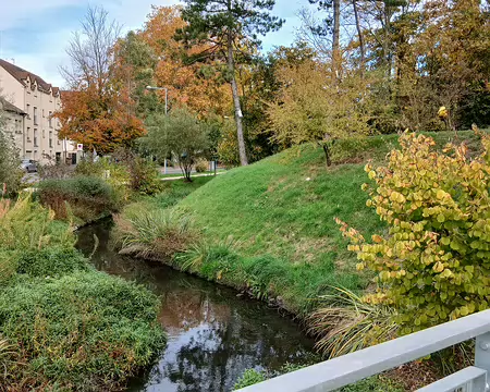 020 Les méandres de la Bièvre et les berges végétalisées