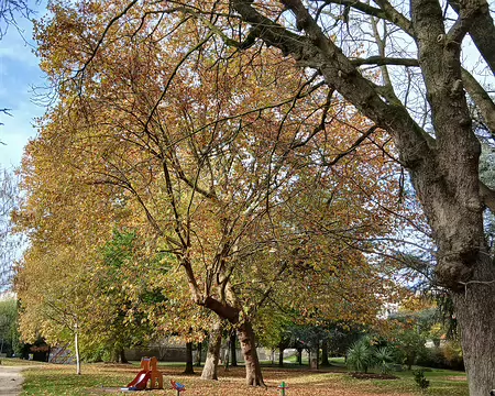 022 Le jardin Pablo Picasso à Gentilly