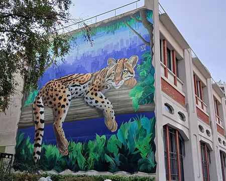 035 Street Art dans le XIIIème arrondissement