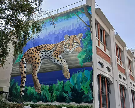 035 Street Art dans le XIIIème arrondissement