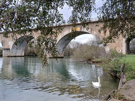 2025-11 Bords de Marne