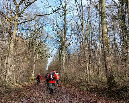 016 La forêt domaniale de Montceaux (685 ha) est une ancienne forêt royale. Henri IV venait y chasser