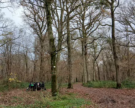 017 Pique-nique dans la forêt de Montceaux