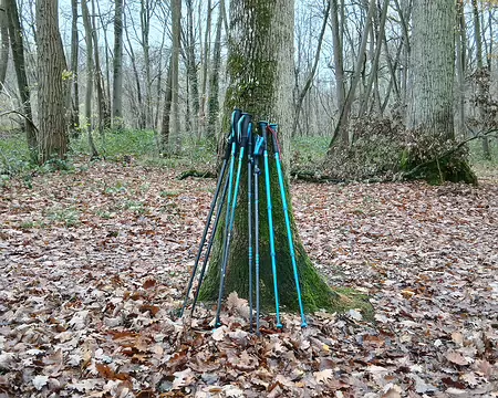 018 Bâtons très utiles aujourd’hui !