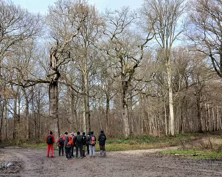 019 Arrivée au carrefour Le Chêne du Roy (forêt de Montceaux) par la route forestière de Gesvres