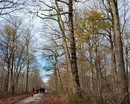 021 Dans la nuit du 20 au 21 juin 1791, Louis XVI et sa famille, fuyant Paris, ont traversé la forêt de Montceaux