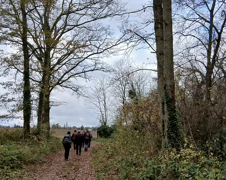 026 Fin de l’épisode forestier