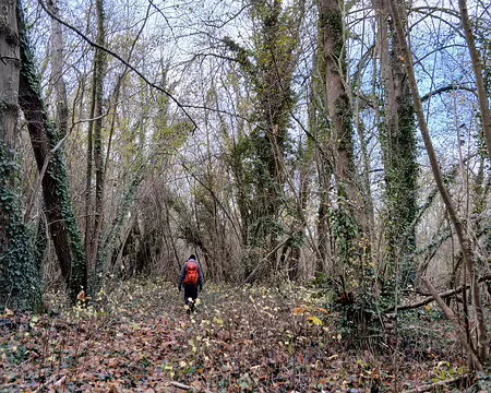 032 Sentier au milieu des bois