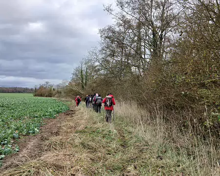 033 Grandes cultures (betteraves) de la ferme de Dancy au bord de la Marne