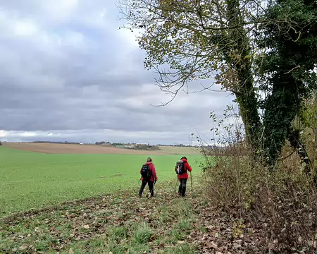 034 Les riches terres agricoles de la ferme de Dancy